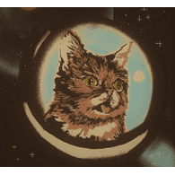 RCAT emblem