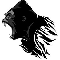 BKS emblem