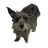 CLUIP emblem