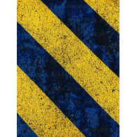 DODSM emblem