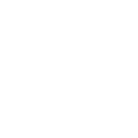 -_- emblem