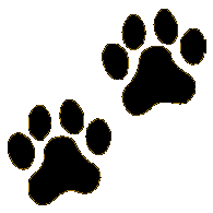 PAW2 emblem