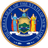 NYST emblem