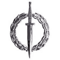 SAIDF emblem