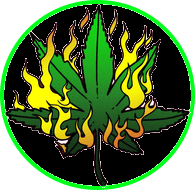 -LIT- emblem