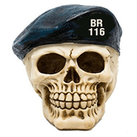 BR116 emblem