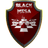 BMESA emblem