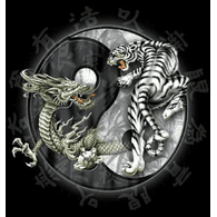 WT-DD emblem