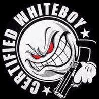 THE-1 emblem