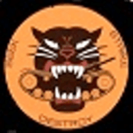 941ST emblem