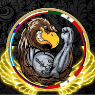 DGLR emblem