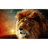 H-E-F emblem