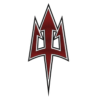 -DD- emblem