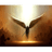 ESK emblem