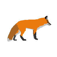 FOXES emblem