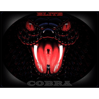 CAZAS emblem