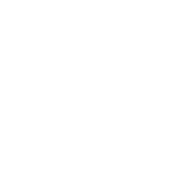 LNL emblem