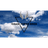 CFBS emblem