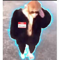 M0NKI emblem