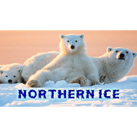 NI emblem
