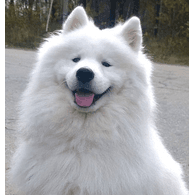 SHOOB emblem