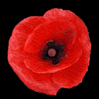 POPPY emblem