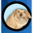 ARTIP emblem