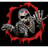 SINZ emblem