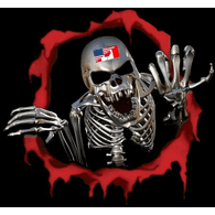 SINZ emblem