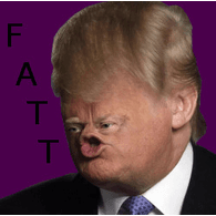 FATT emblem