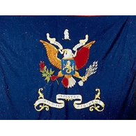 R_VVO emblem