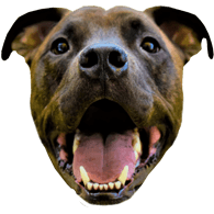 RUFUS emblem