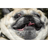 PUGZ emblem