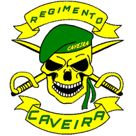 RECAV emblem