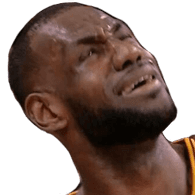LBRON emblem