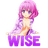 WISE emblem