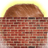 WALL- emblem