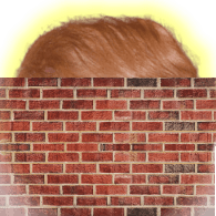 WALL- emblem