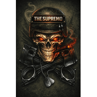 -TS emblem