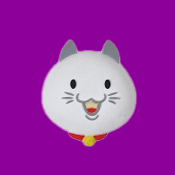 CNUTS emblem