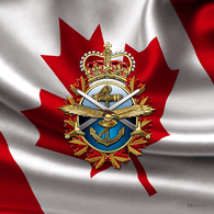 CDNAF emblem