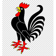 REWS emblem