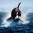 WHALE emblem