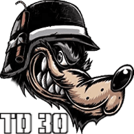 TD30 emblem