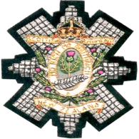 3_NZ emblem