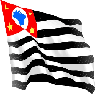 SPBR emblem