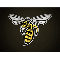SNG emblem
