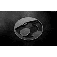 D_S_T emblem