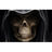 209TH emblem