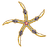 KRULL emblem